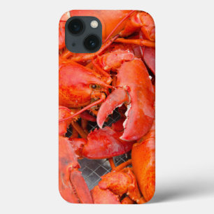 Etui iPhone 13 États-Unis, Massachusetts, Martha's Vineyard