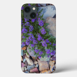 iPhone 13 Coque États-Unis, Montana, Glacier National Park