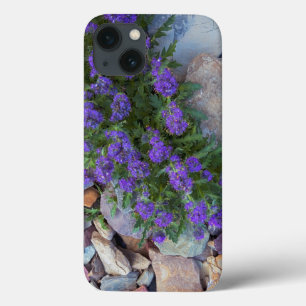 Etui iPhone Case-Mate États-Unis, Montana, Glacier National Park