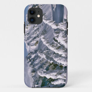 Etui iPhone Case-Mate États-Unis, Oregon, Crater Lake NP. Les arbres plo