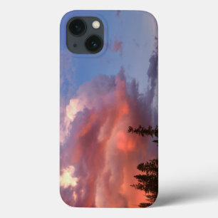iPhone 13 Coque États-Unis, Oregon, Forêt nationale d'Umpqua.Tem
