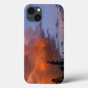 Case-Mate iPhone Case États-Unis, Oregon, Forêt nationale d'Umpqua. Temp