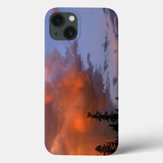 Coques Case-Mate iPhone États-Unis, Oregon, Forêt nationale d'Umpqua. Temp (Verso)