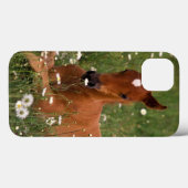 Coques Case-Mate iPhone États-Unis, Oregon, Poney arabe. (Verso (horizontal))