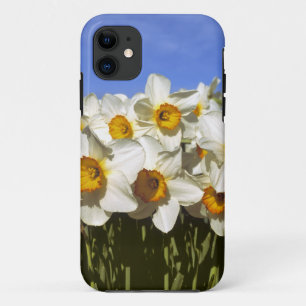 Etui iPhone Case-Mate États-Unis, Oregon, vallée de Willamette. Les jonq