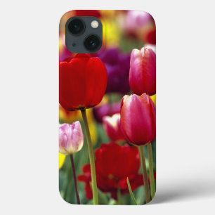 Coques Pour iPhone États-Unis, Oregon, vallée de Willamette. Magnifiq