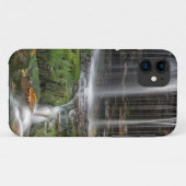 Coques Case-Mate iPhone États-Unis, Pennsylvanie, Benton. Cascade délicate (Dos (Horizontal))