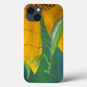 Case-Mate iPhone Case États-Unis, Pennsylvanie. Mante religieuse femelle