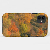 Coques Case-Mate iPhone États-Unis, Tennessee. Feuillage d'automne 2 (Dos (Horizontal))