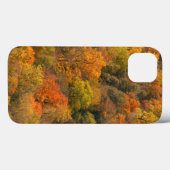 Coques Case-Mate iPhone États-Unis, Tennessee. Feuillage d'automne 2 (Verso (horizontal))