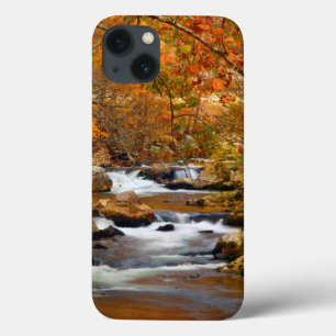 iPhone 13 Case États-Unis, Tennessee. Rushing Mountain Creek