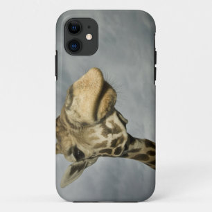 Coque Case-Mate Pour iPhone États-Unis, Texas, Fossil Rim Wildlife Area, giraf