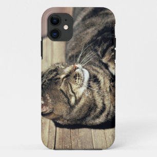 Coque Case-Mate Pour iPhone États-Unis, Utah, Parc national de Capitol Reef. C