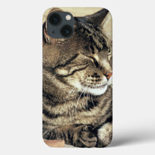 Etui iPhone Case-Mate États-Unis, Utah, Parc national de Capitol Reef. C