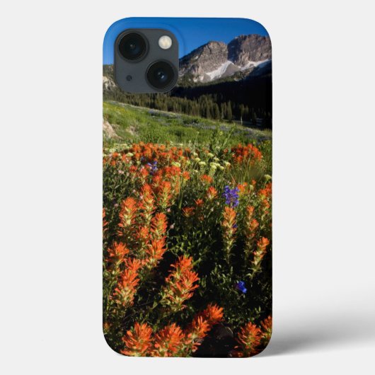 Coques Case-Mate iPhone États-Unis, Utah, Uinta-Wasatch-Cache National For (Verso)