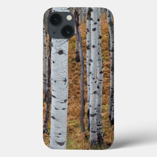 Coques Case-Mate iPhone États-Unis, Utah, Uinta-Wasatch-Cache National For (Verso)