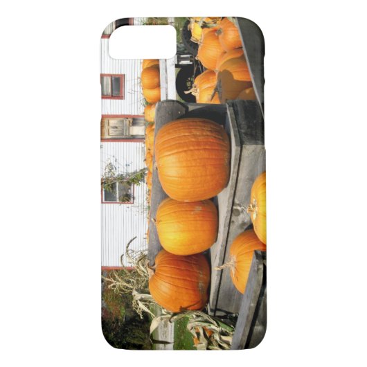 Coques Case-Mate iPhone États-Unis, Vermont.Citrouilles (Dos)