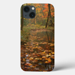 iPhone 13 Case États-Unis, Virginie, Automne Dans Le Douthat Stat