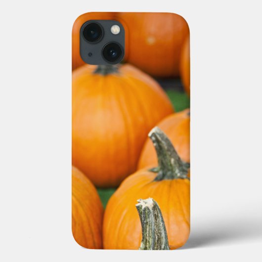 Coques Case-Mate iPhone États-Unis, Virginie-Occidentale, Charleston. Capi (Verso)