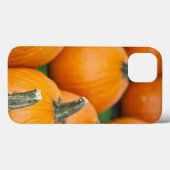 Coques Case-Mate iPhone États-Unis, Virginie-Occidentale, Charleston. Capi (Verso (horizontal))