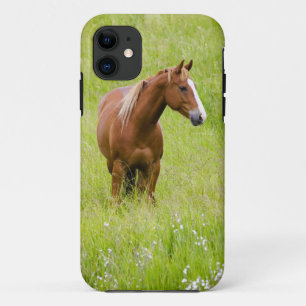 Coque Case-Mate Pour iPhone États-Unis, Washington, Cheval dans un champ print