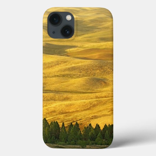 Coques Case-Mate iPhone États-Unis, Washington, comté de Whitman, Palouse, (Verso)