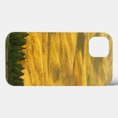 Coques Case-Mate iPhone États-Unis, Washington, comté de Whitman, Palouse, (Verso (horizontal))