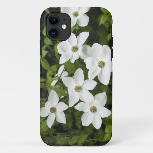 Coques Case-Mate iPhone États-Unis, Washington, Cornouiller du Pacifique, (Dos)
