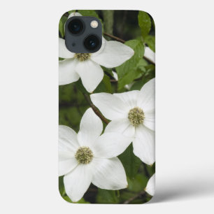 Etui iPhone Case-Mate États-Unis, Washington, Cornouiller du Pacifique, 