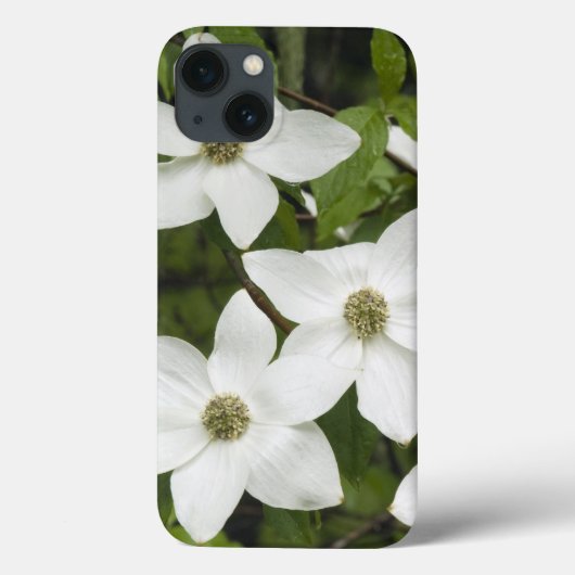 Coques Case-Mate iPhone États-Unis, Washington, Cornouiller du Pacifique,  (Verso)