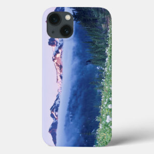 Coques Pour iPhone États-Unis, Washington, Mt. Rainier National Park