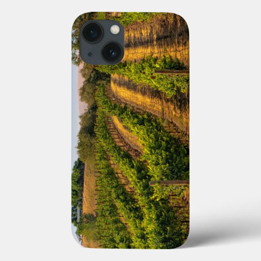 Coques Case-Mate iPhone États-Unis, Washington oriental, Vignobles de Wall (Verso)