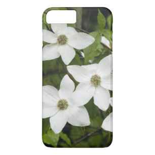 Coque Case-Mate Pour iPhone États-Unis, Washington, Pacific Dogwood, Cornus