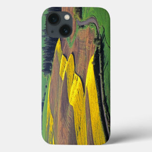 iPhone 13 Case États-Unis, Washington, Palouse, comté de Whitman