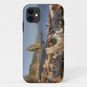 Coque iPhone 11 États-Unis, Washington, Parc National Olympique, R