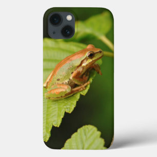 iPhone 13 Coque États-Unis, Washington, Seattle, Discovery Park