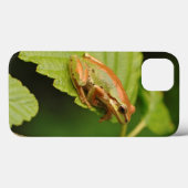 Coques Case-Mate iPhone États-Unis, Washington, Seattle, Discovery Park (Verso (horizontal))