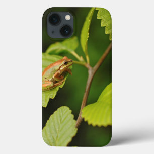 iPhone 13 Case États-Unis, Washington, Seattle, Discovery Park
