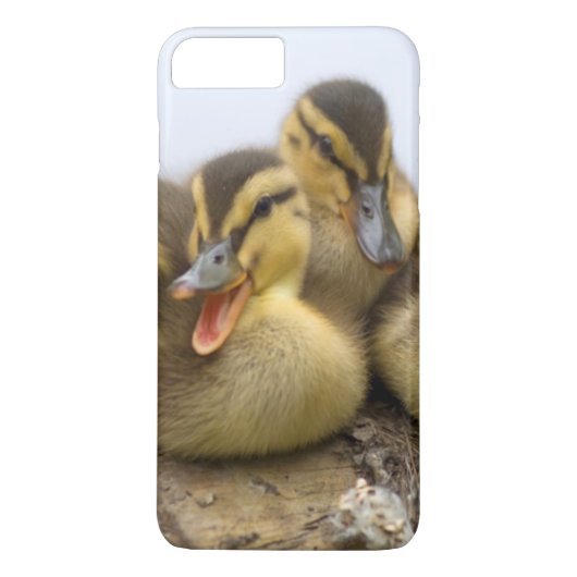Coques Case-Mate iPhone États-Unis, Washington, Seattle, Lac Washington (Dos)
