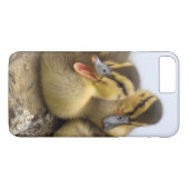 Coques Case-Mate iPhone États-Unis, Washington, Seattle, Lac Washington (Dos (Horizontal))