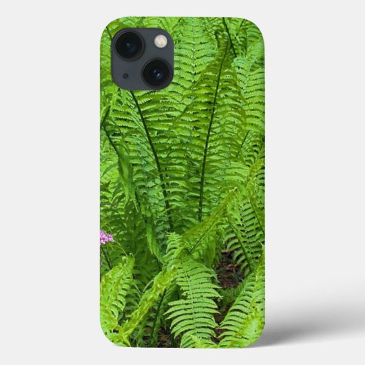 Coques Case-Mate iPhone États-Unis, Washington, Seattle, Washington Park (Verso)