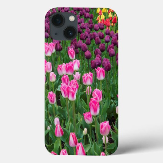 Coques Case-Mate iPhone États-Unis, Washington. Tulipes en fleurs (Verso)