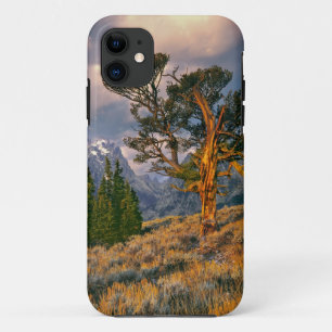 Coques Pour iPhone États-Unis, Wyoming, Grand Teton NP. Le lever du s