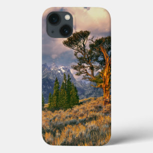 Coques Pour iPhone États-Unis, Wyoming, Grand Teton NP. Le lever du s