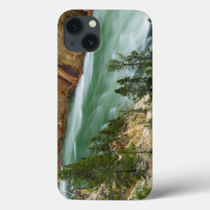 Etui iPhone Case-Mate États-Unis, Wyoming, Parc national de Yellowstone