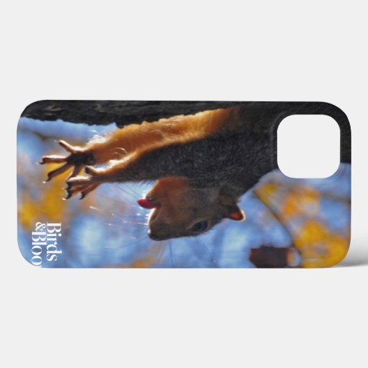 Coques Case-Mate iPhone Étirage de l'écureuil (Verso (horizontal))