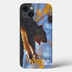 iPhone 13 Case Étirage de l'écureuil