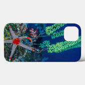 Coques Case-Mate iPhone Étoile de mer et tunicier (Verso (horizontal))