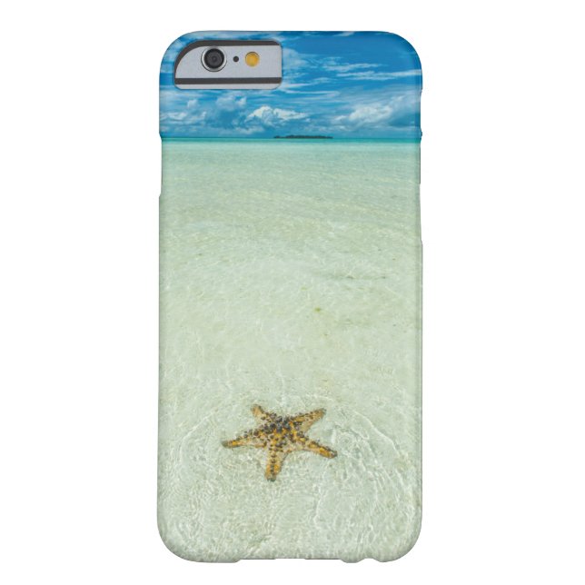 Coques Case-Mate iPhone Étoile marine dans les eaux peu profondes, Palau (Dos)