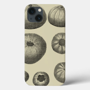 Case-Mate iPhone Case Étoiles de mer noires et blanches